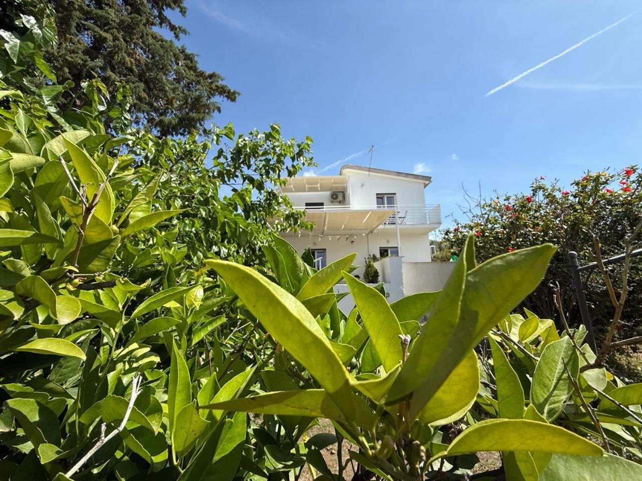 Terra Di Mare Guest House Агридженто Екстериор снимка